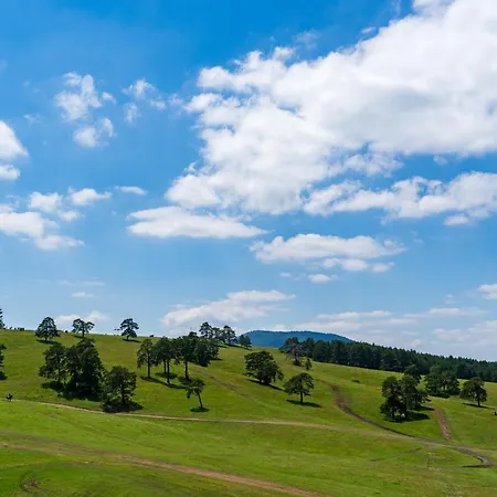 Apartment Avantura Zlatibor