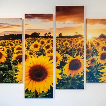 Apartment Avantura *